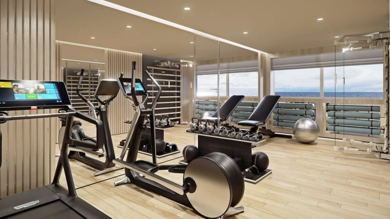Custom-made Black Swan yacht, gym, bicycle , weights